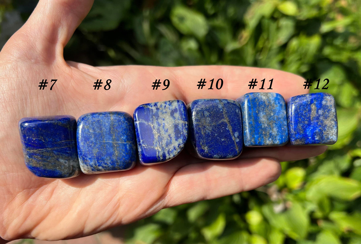 Lapis Lazuli Tumbled Stones ~ Large