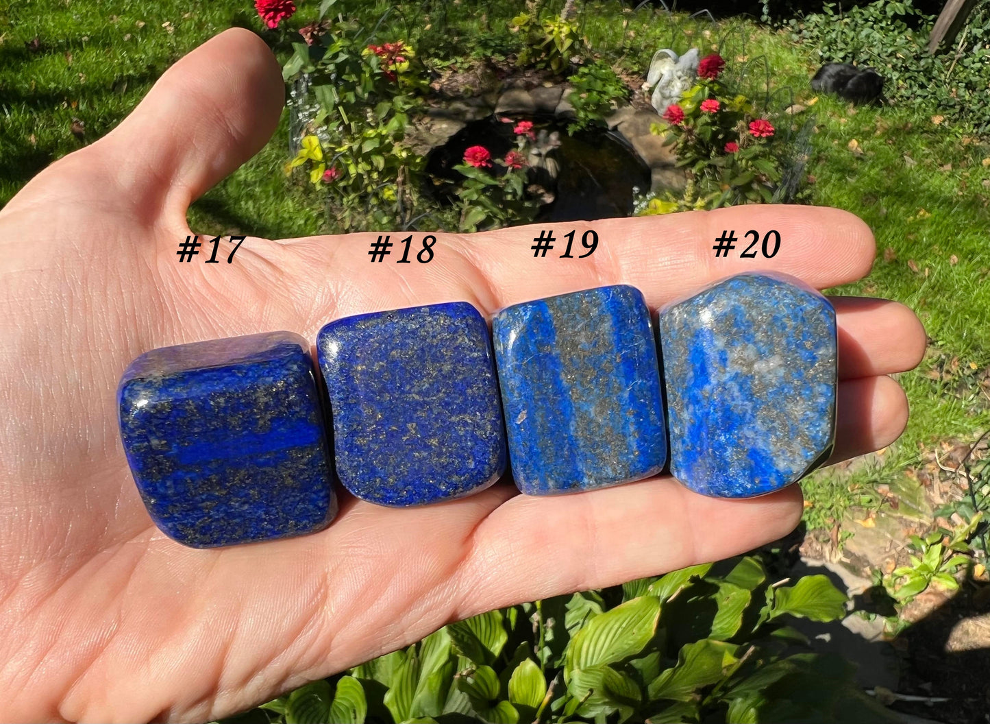 Lapis Lazuli Tumbled Stones ~ Large