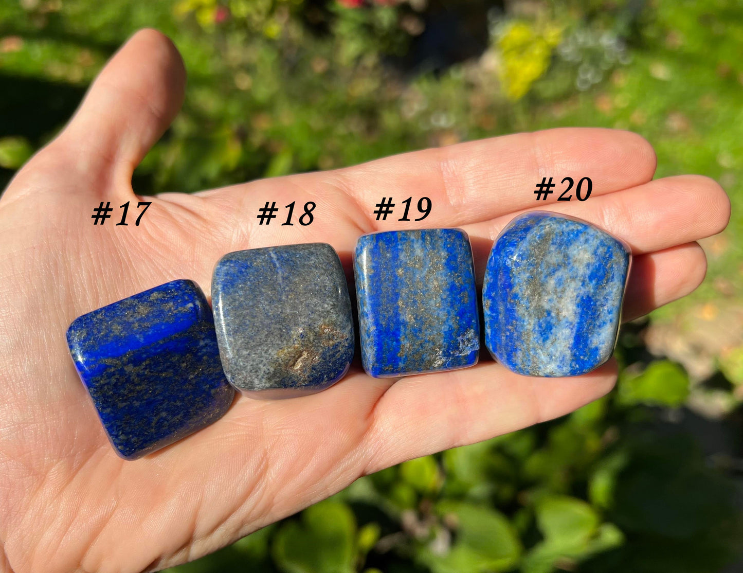 Lapis Lazuli Tumbled Stones ~ Large