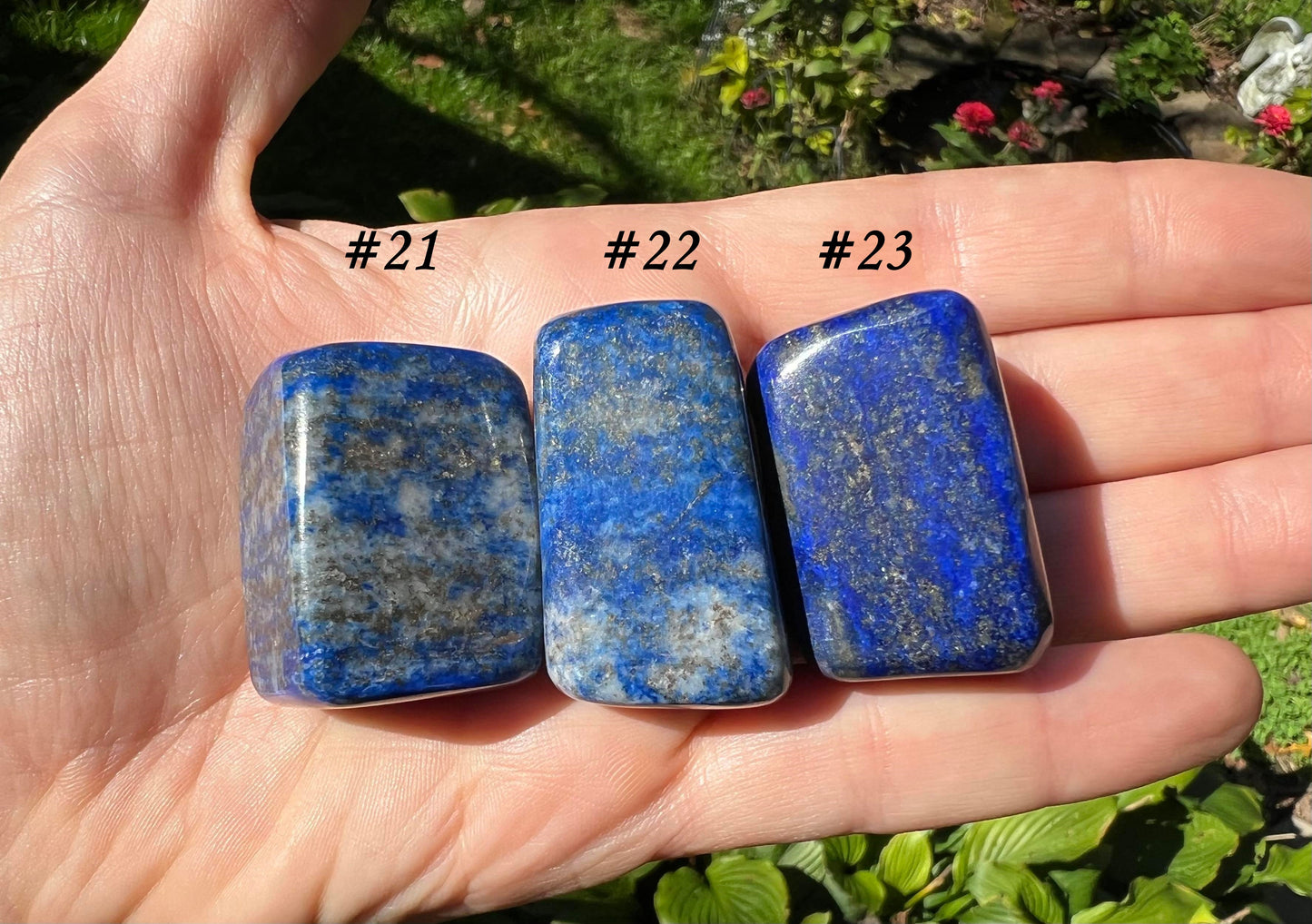 Lapis Lazuli Tumbled Stones ~ Large