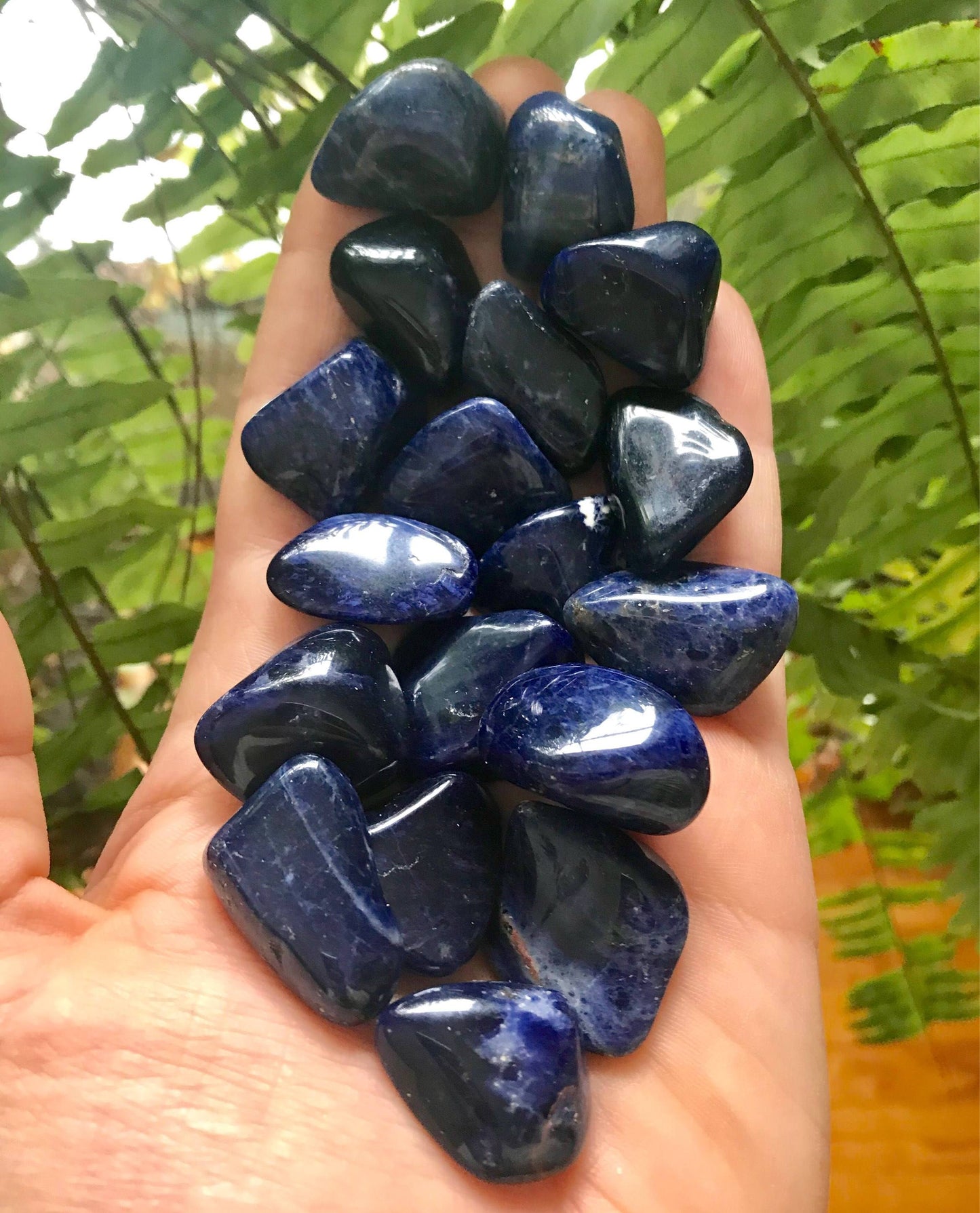 Sodalite - Gem Realm 