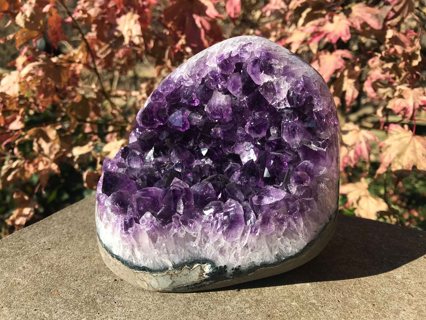 Amethyst Geode ~ AAA Grade - Gem Realm 