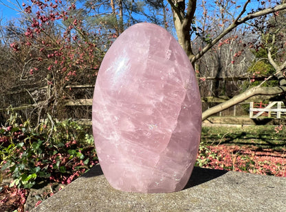 Rose Quartz Freeform